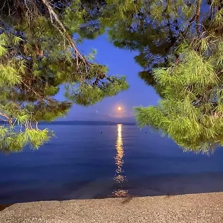 Magdalena Galileo Sa Pogledom Na I Plazu Lejlighed Makarska